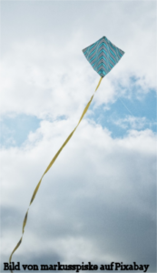 Winvogel am Himmel